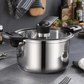 Stainless Steel Pressure Cooker