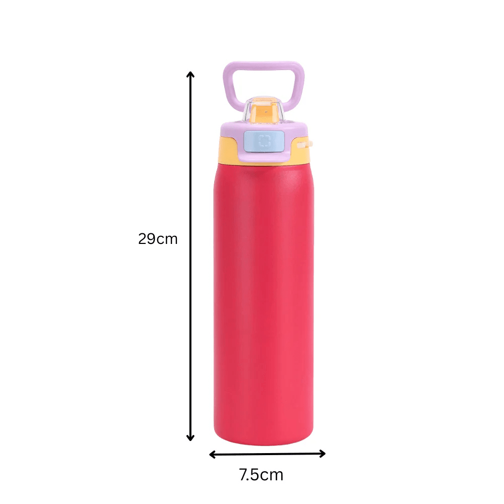 Stainless Steel Thermos Water Bottle with Leakproof Quick Fill Lid (950ML)